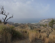 Plot Land in La Herradura 