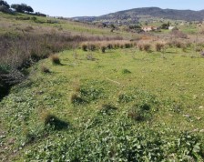 Plot Land in Estepona 