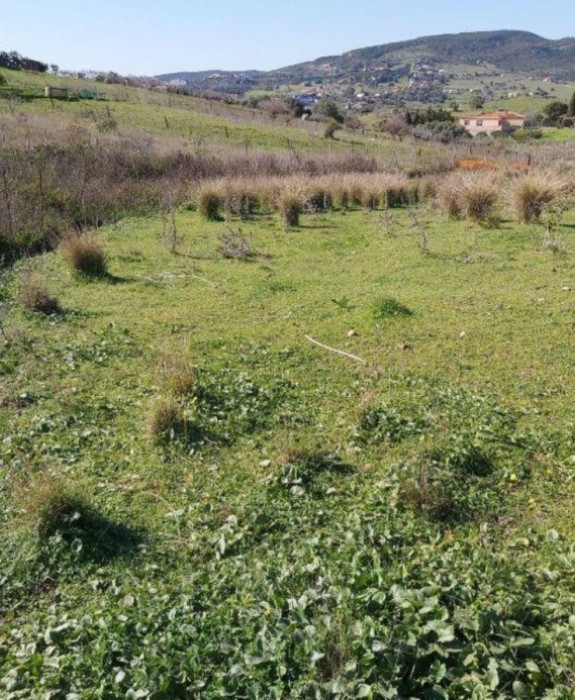 Plot Land in Estepona 